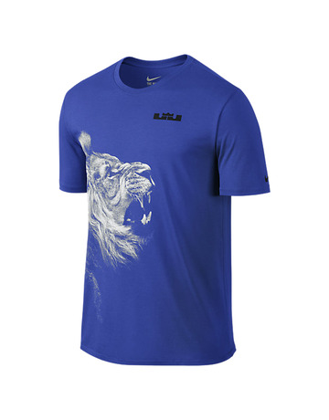 LeBron Camiseta Niñ@ "Hero" (480/azul)