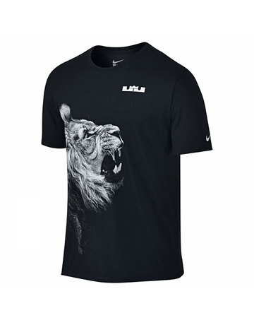 LeBron Camiseta Arch (010/negro/blanco)