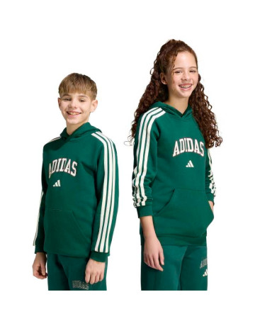 Sudadera Adidas CODES COLLEGIATE GRAPHIC "Green"