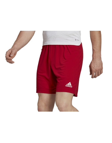 Short Adidas Entrada 22 "Team Power Red"