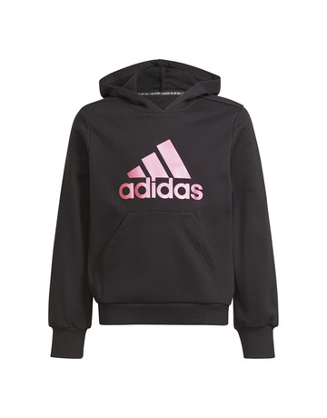 Adidas Future Icons Logo Hoodie