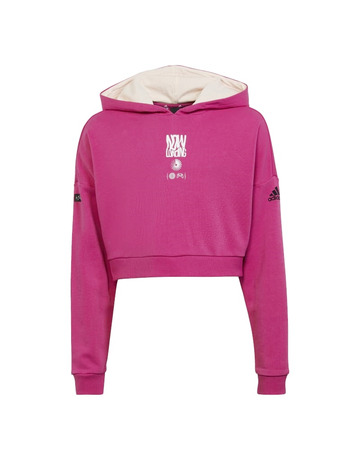 Adidas Girls ARKD3 Crop Hoodie