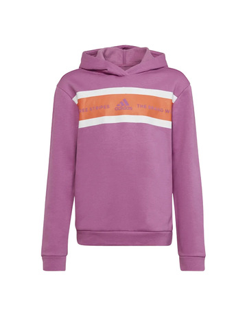Adidas Girls Essentials Brand Love Warm Hoodie