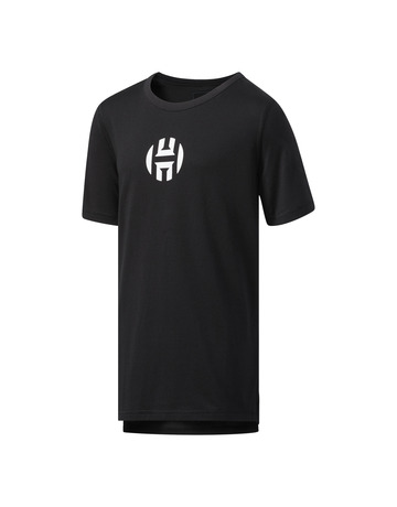 Adidas Harden Heavy logo Youth Tee (black)