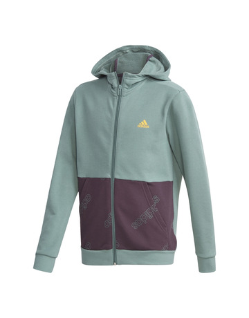 Adidas Junior FAV AOP FZ Hoodie
