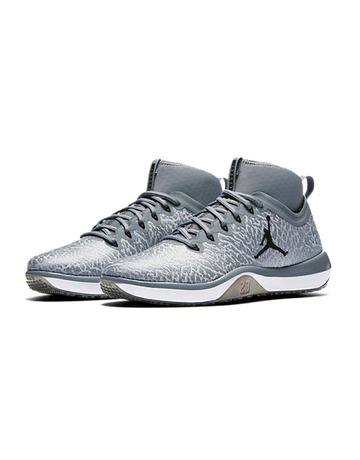 Air Jordan Trainer 1 "Cool Grey" (002/cool grey/black)