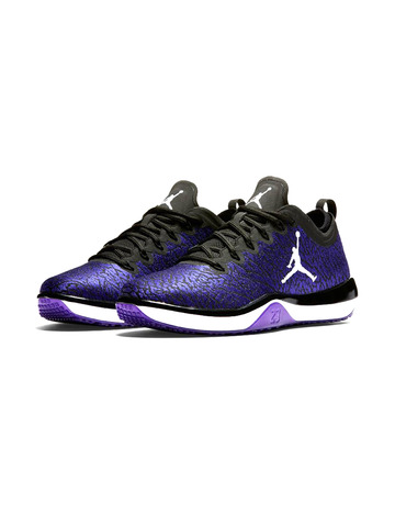 Air Jordan Trainer 1 Low "Concord Jimmy Butler"