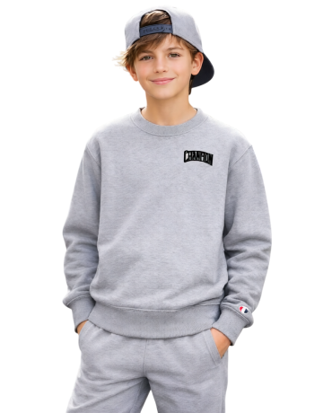 Sudadera cuello redondo Champion Puff Print "Grey"
