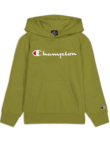 Champion Kids Big Logo Fleece Hoodie "Green Olive"