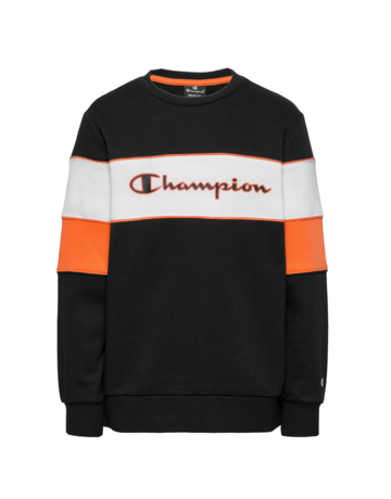 Champion Kids Classic Modular Blocking Color Crewneck Sweatshirt