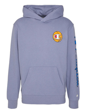 Champion Rochester Future Care Hooded Sweatshirt  "Blue Steel"