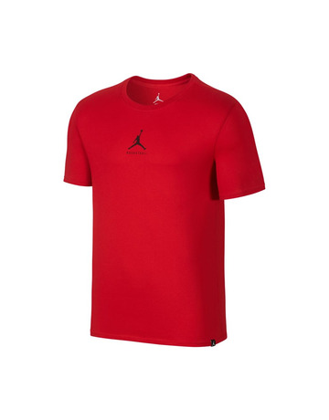Jordan Camiseta Dry 23/7 Jumpman Basketball (687)