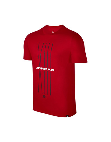Jordan Sportswear AJ 13 CNXN 1 T-Shirt (687)