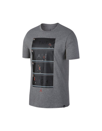 Jordan "The Art of Flight" T-Shirt (091)