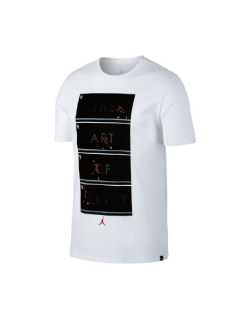 Jordan "The Art of Flight" T-Shirt (100)