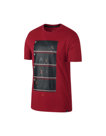 Jordan "The Art of Flight" T-Shirt (687)