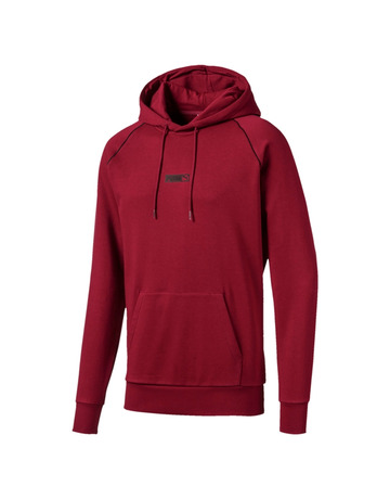 Puma Classics Logo Nº 2 Hoody