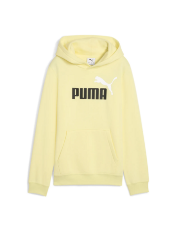 Puma ESS 2 COLOR Logo Hoodie FL "Gold Moon"