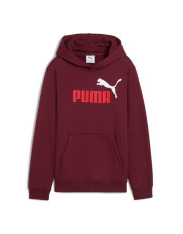 Puma ESS 2 COLOR Logo Hoodie FL "Ruby Shimmer"