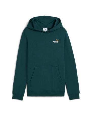 Puma ESS 2 COLOR Logo Hoodie "Green Terrain"