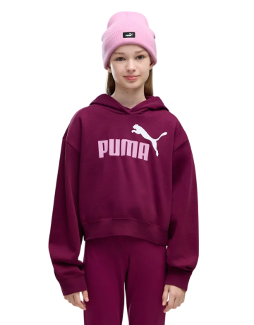Sudadera Puma ESS 2 COLOR No. 1 Logo​ FL G "Fuchsia Glow"