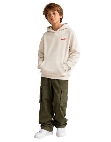 Sudadera Puma ESS LOGO LAB Brand Back Graphic FL B "Alpine Snow"