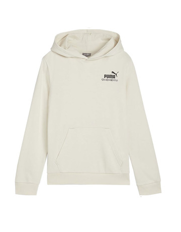 Puma Junior ESS+ MID 90s Hoodie TR B "Alpine Snow"