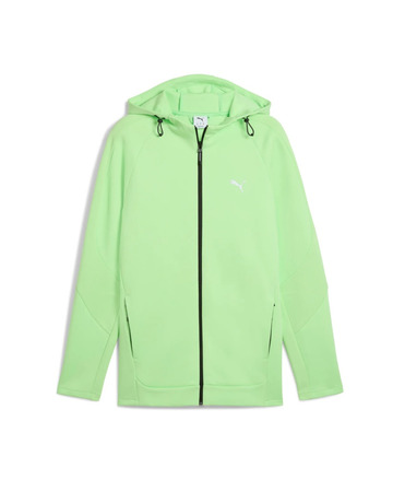 Puma EVOSTRIPE Full-Zip Hoodie DK "Spring Fern"
