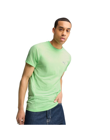 Puma EVOSTRIPE Tee "Spring Fern"