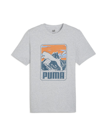 Puma GRAPHICS Mountain Tee "Grey"