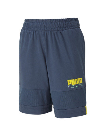 Añadir a la cesta Puma Junior Alpha Jersey Shorts Puma Junior Alpha Jersey Shorts