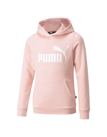 Puma Junior ESS Logo Hoodie