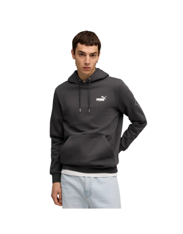 Puma MAXIMAL METALLIC Hoodie FL "Dusky Gray"