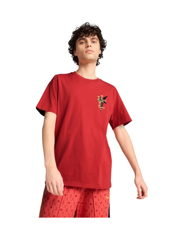 Puma ROAD TO UNITY Graphic Tee "Red Fire"