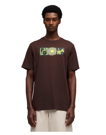 Camiseta Puma SUNSET DRIVE Graphic Tee "Brown"
