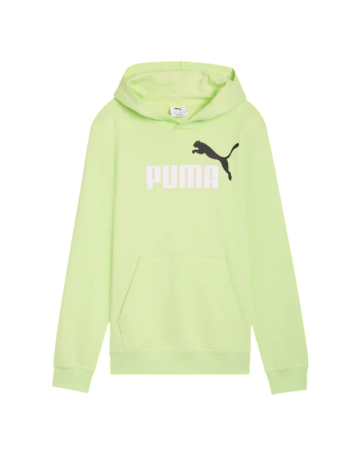 Sudadera Puma ESS 2 COLOR Logo " Apple Spritz"