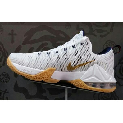 Nike lebron 12 oro deals