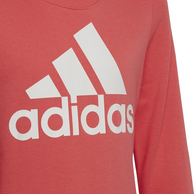 Adidas Kids Essentials Big Logo Sweatshirt