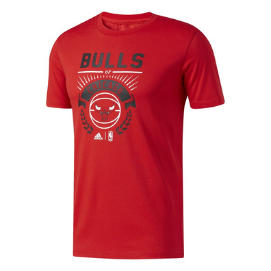 Adidas NBA Chicago Bulls Graphic 4 Tee (rojo)