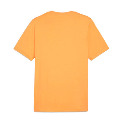 Camiseta Puma GRAPHICS Mountain "Clementine"