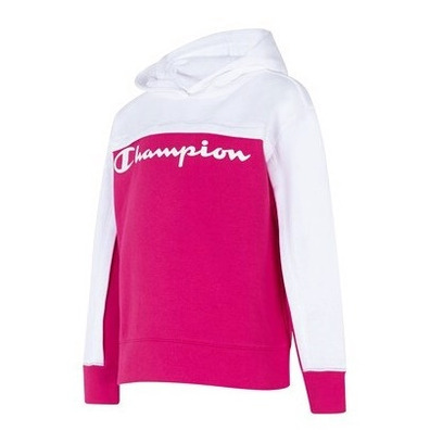 Champion Girls Authentic Legacy Blocking Color Hoodie