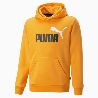 Puma Junior ESS+ 2 Col Big Logo Hoodie FL