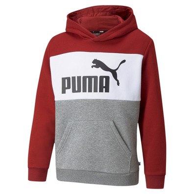 Puma Junior ESS+ Colorblock Hoodie