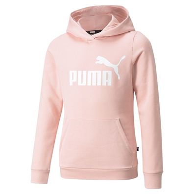 Puma Junior ESS Logo Hoodie
