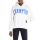 Champion Rochester 1919 Hooded Sweatshirt