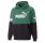 Puma Power Colorblock Hoodie TR " Vine"