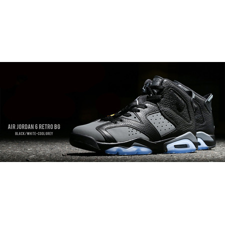 Air Jordan 6 Retro BG "Cool Grey" (010/black/white/cool grey)