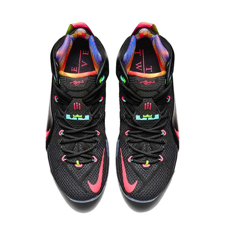 Lebron XII "Data" (068/negro/crimson)