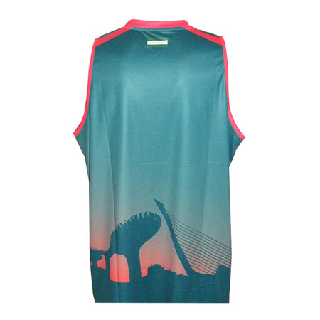 Camiseta CDB Sevilla ACB 2015/16 (verde/rojo)