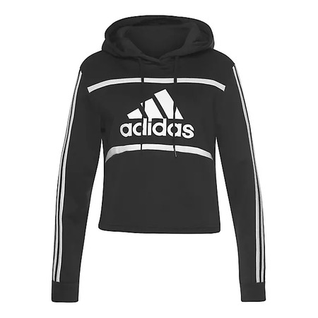 Adidas Essentials Logo Colorblock Fleece Cropped
